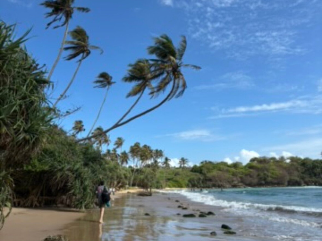 Compass Lanka Tours-Yakkala必去景点