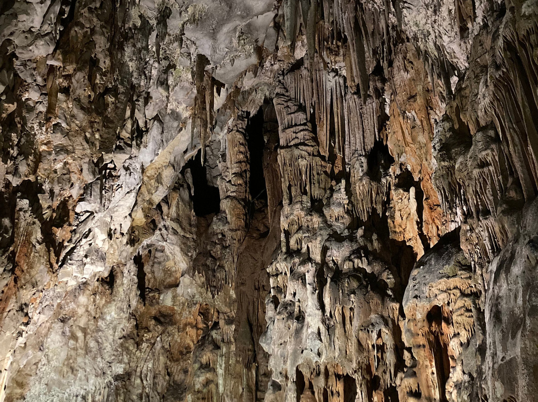 Grotta Gigante-Borgo Grotta Gigante必去景点