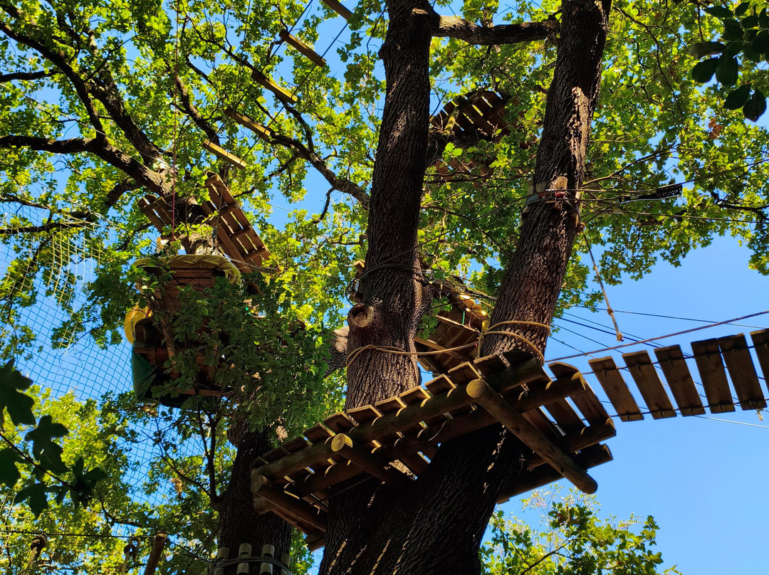 Accroche-Aventure-Saint-Julien-de-Peyrolas必去景点