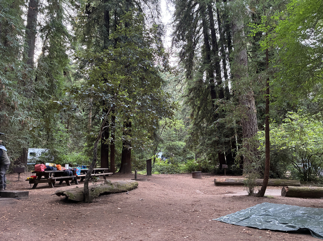 Samuel P. Taylor State Park-Lagunitas必去景点