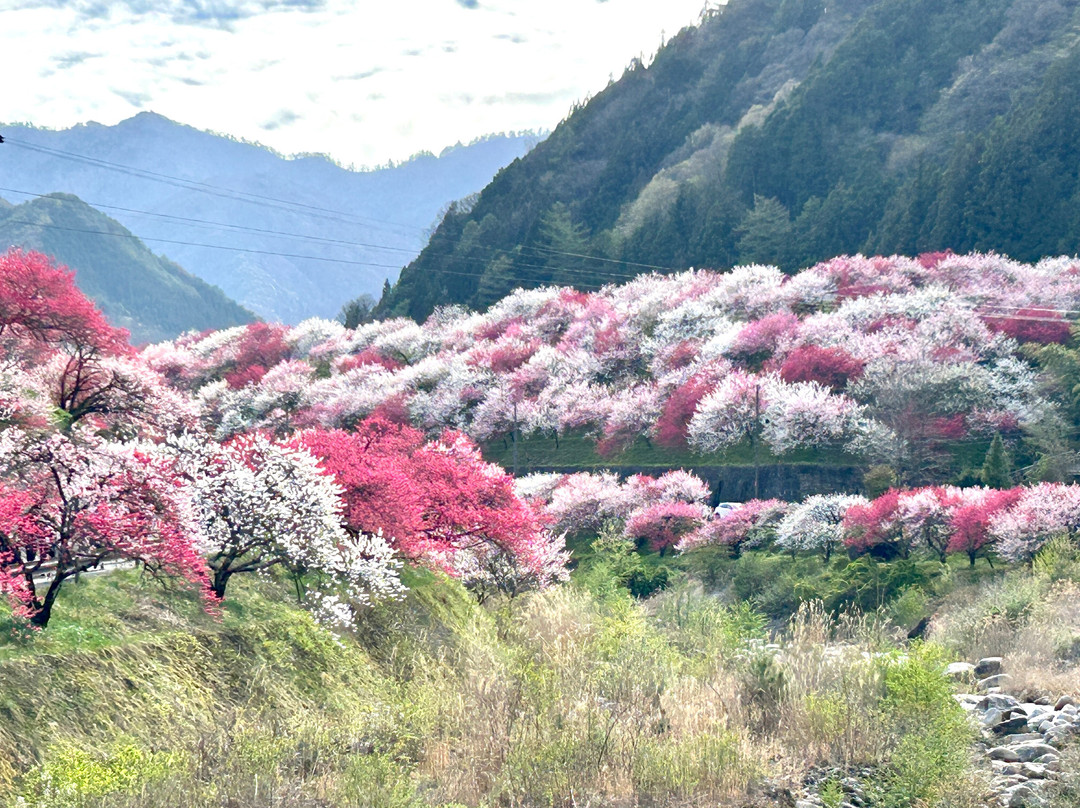 Hanamachi no Sato-阿智村必去景点