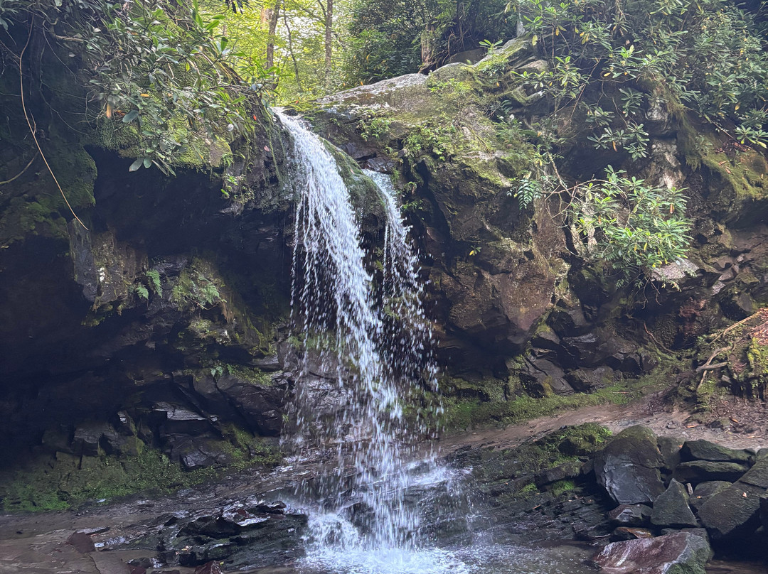 Grotto Falls Trail-大雾山国家公园必去景点