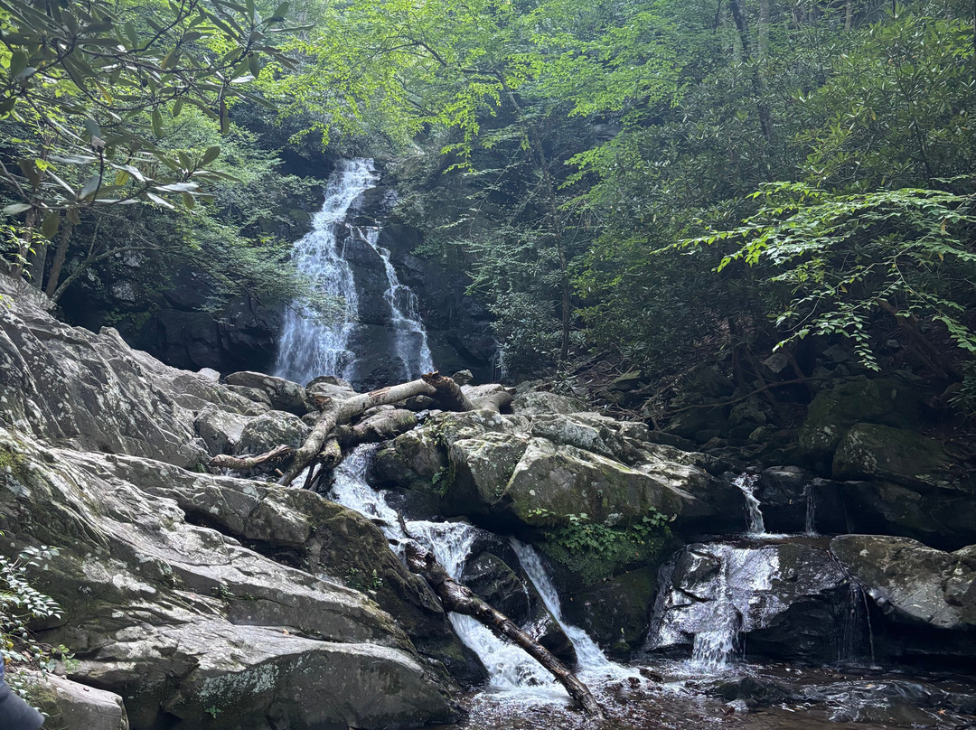 Spruce Flats Falls-大雾山国家公园必去景点