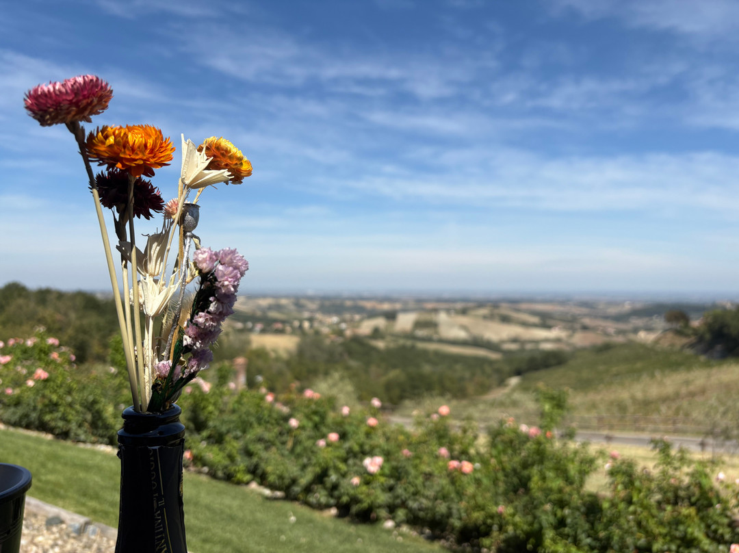 Cantina Il Poggio-萨尔索马焦雷泰尔梅必去景点