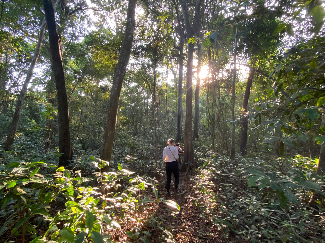 CHUCHINI Amazon Wildlife Reserve & Eco Lodge-Trinidad必去景点
