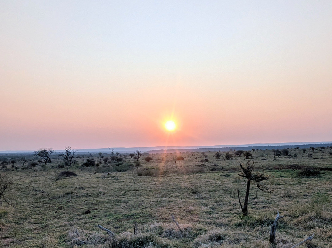 Lion Roar Safaris-尼斯普鲁特必去景点