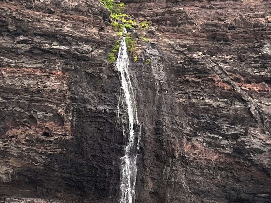 Kauai Sea Tours-埃里埃利必去景点