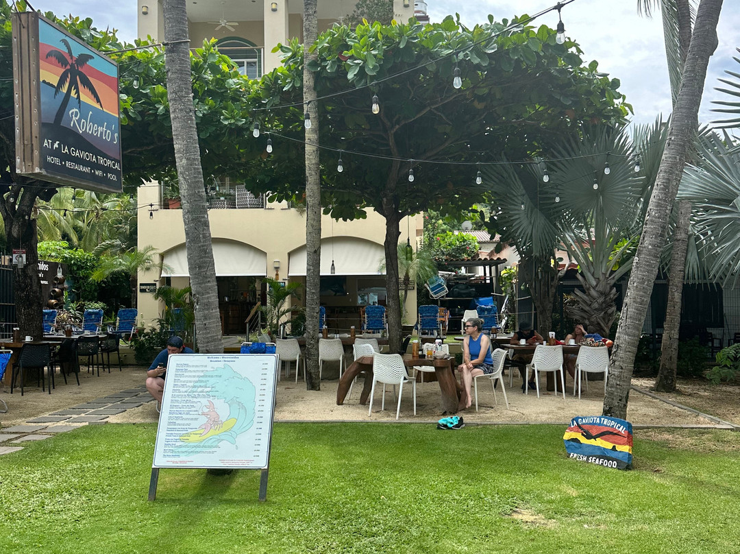 Hotel la Gaviota Tropical主图