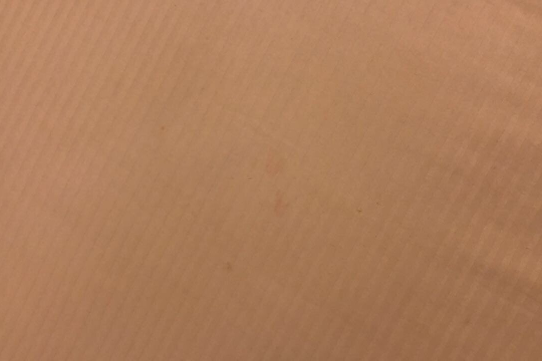 蒙特雷山谷嘉年华酒店主图