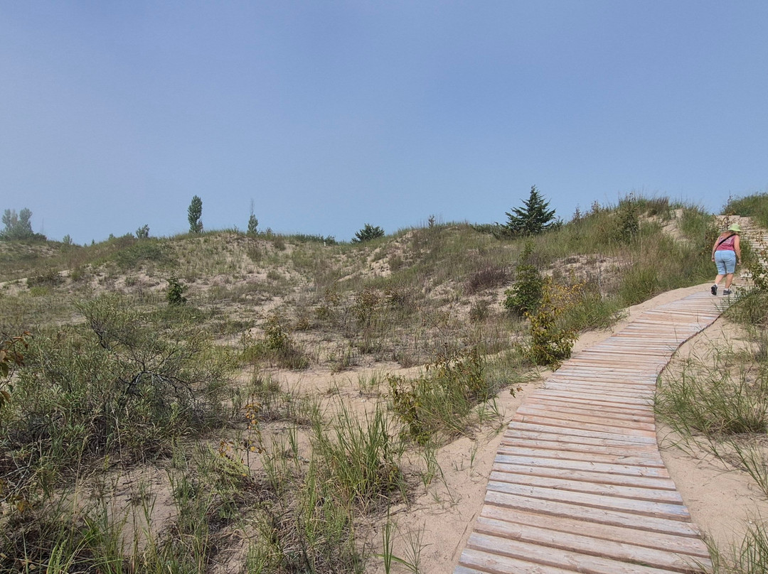 Pinery Provincial Park-Grand Bend必去景点