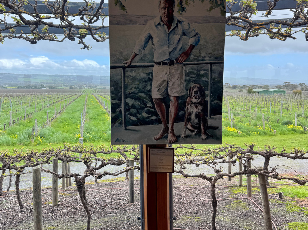 Hugh Hamilton Wines-麦克拉伦谷必去景点