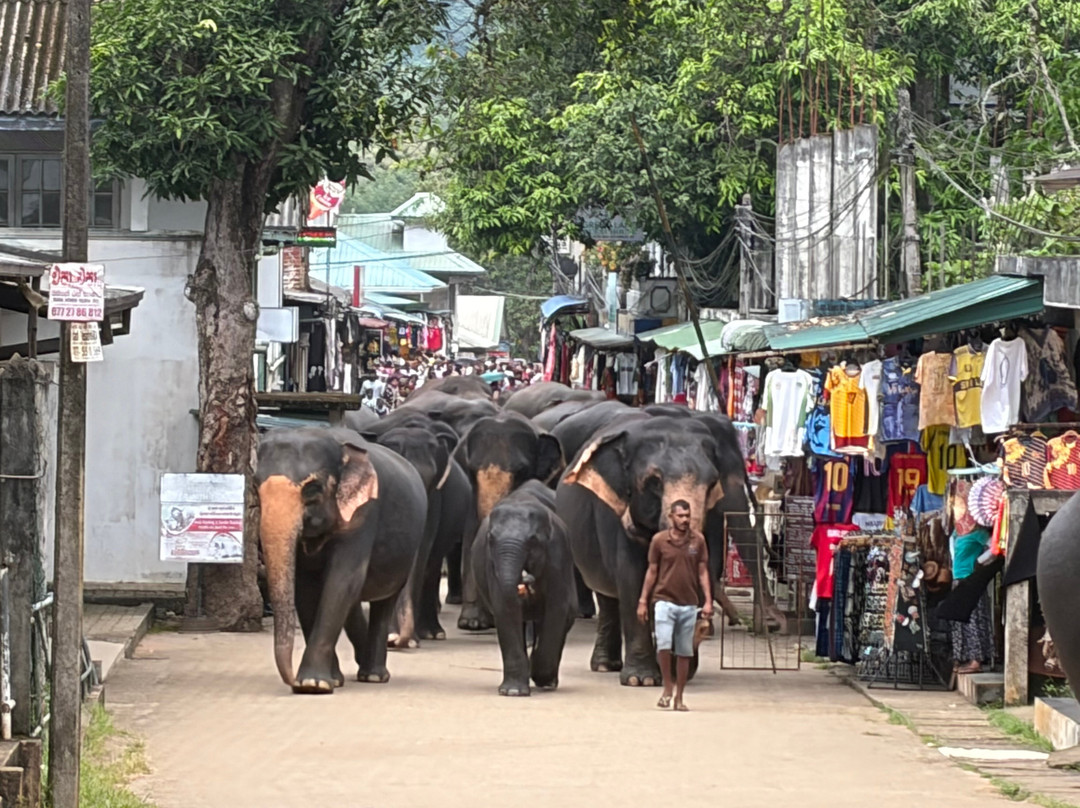 Sri Lanka Dream Tour-尼甘布必去景点