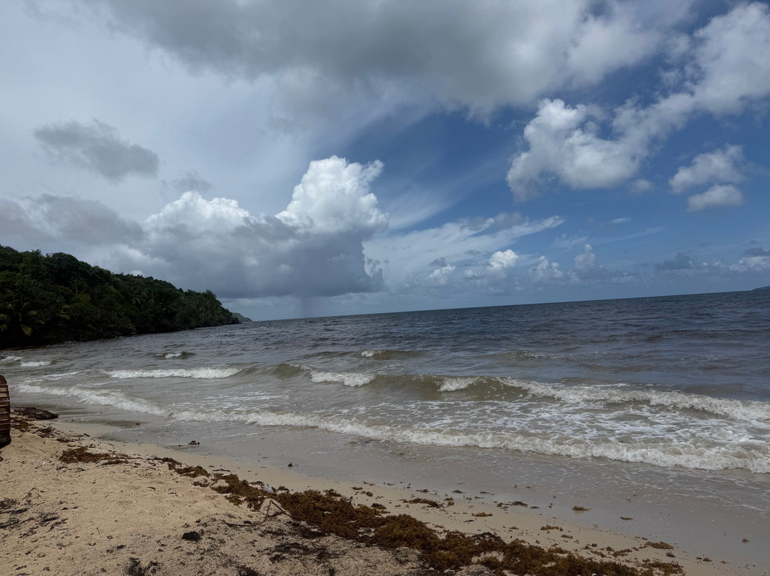 Playa Rincon-萨马纳半岛必去景点