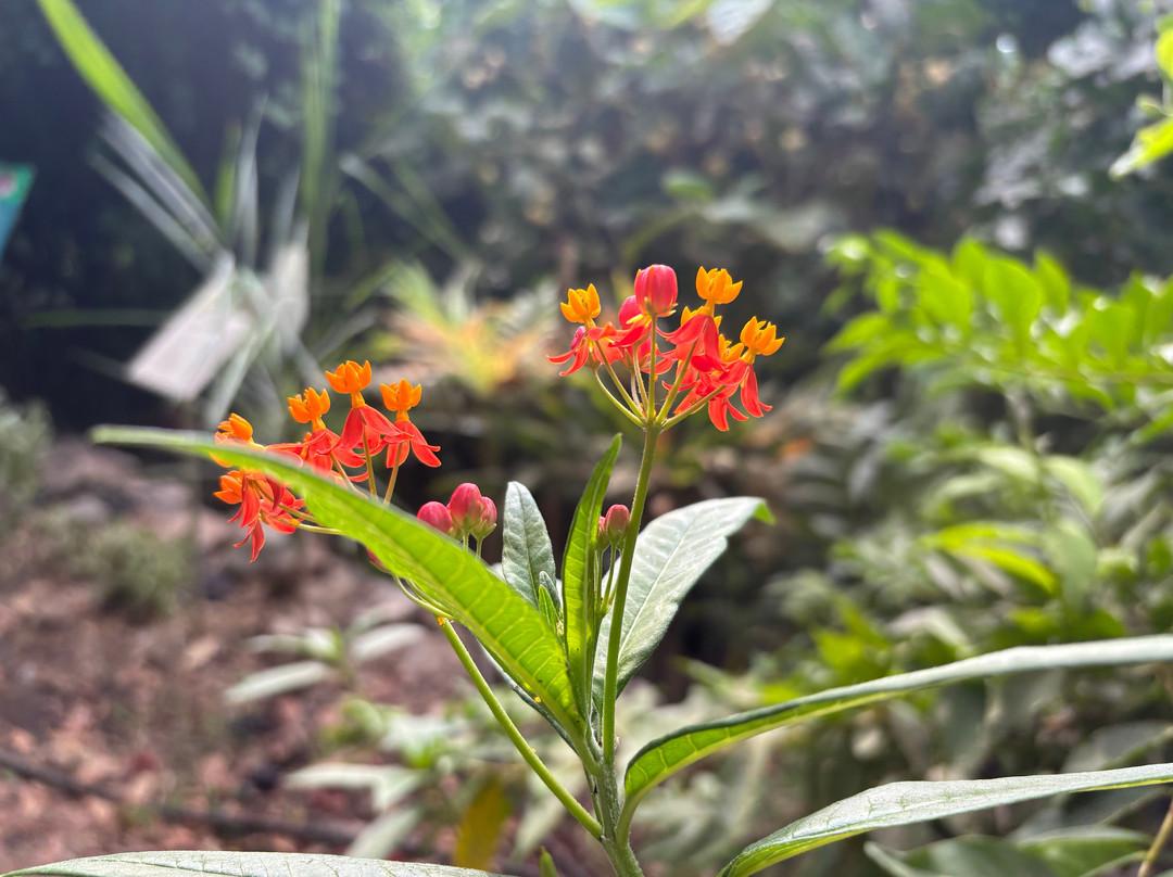 Botanical Garden Of Crete-Fournes必去景点
