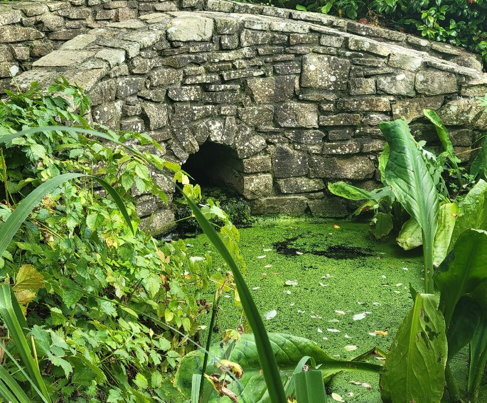 Terra Nova Garden-Kilmallock必去景点