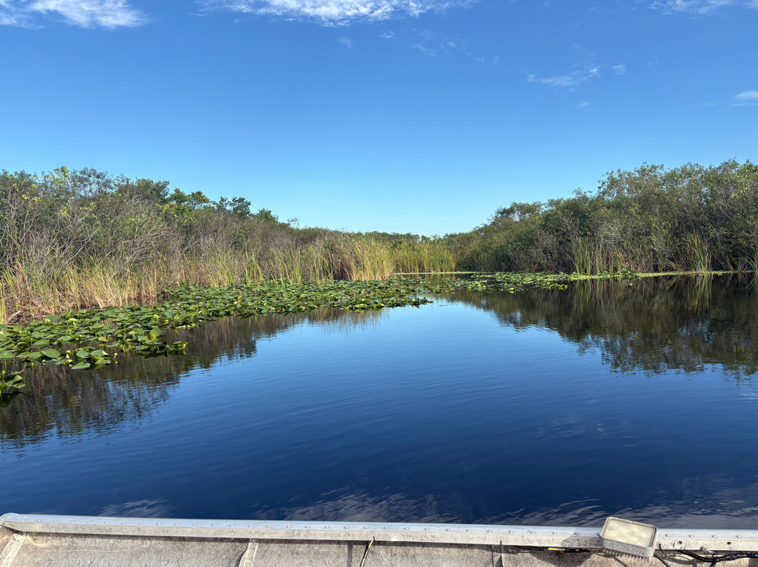 Everglades Swamp Tours-Everglades Wildlife Management Area必去景点