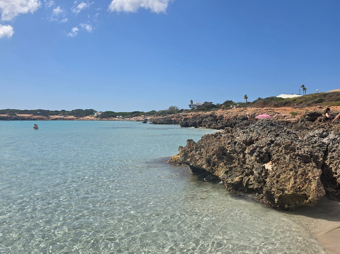Platja de Son Xoriguer-卡兰博希必去景点