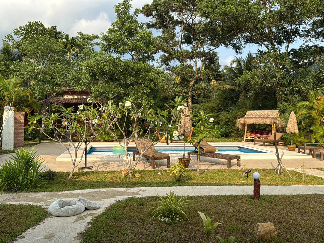 Jungle View Resort主图