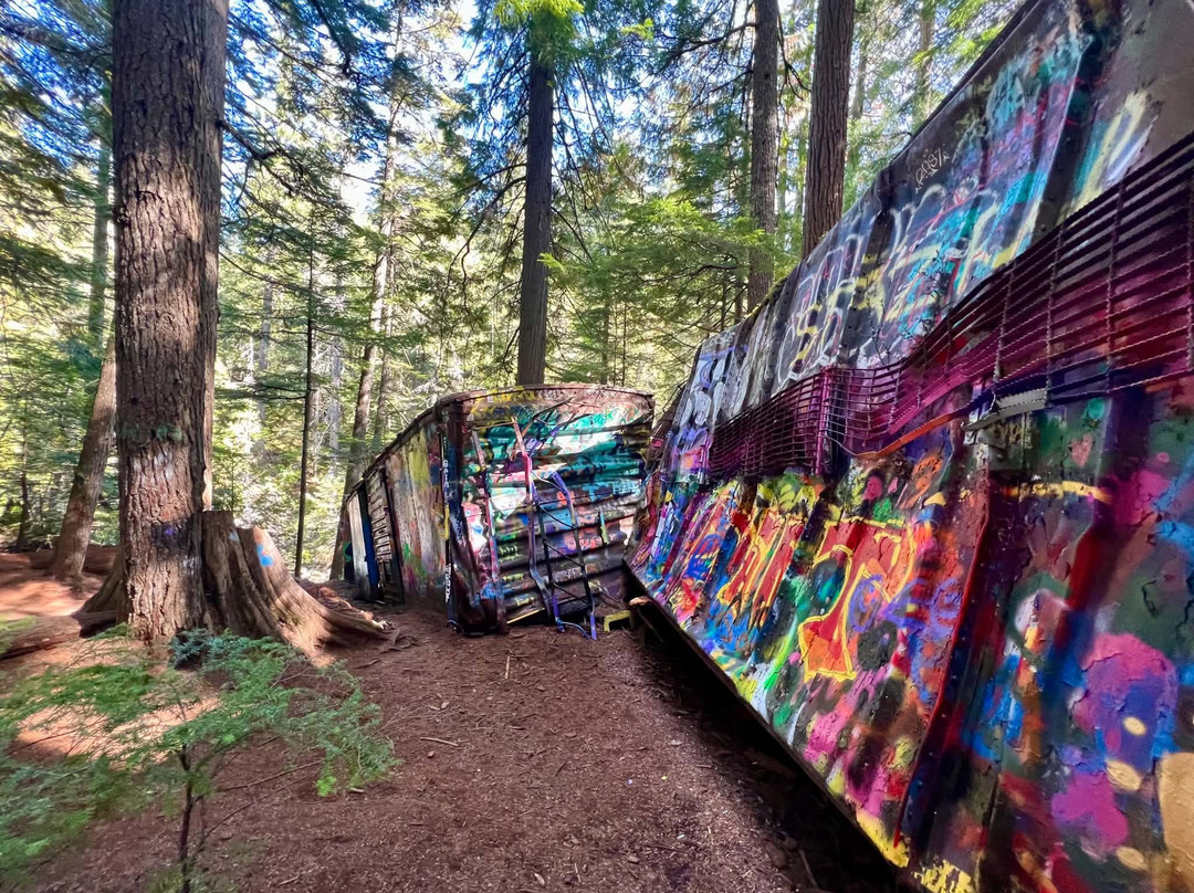 The Whistler Train Wreck Trail-惠斯勒必去景点