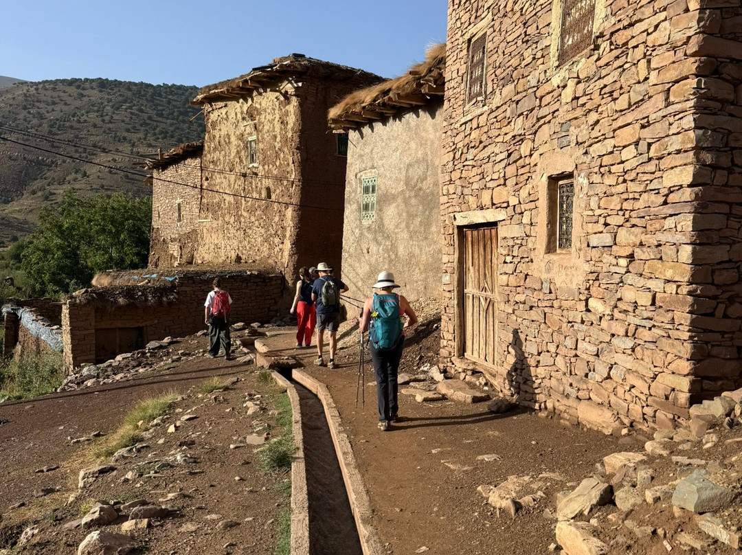 托达生态小屋旅馆主图