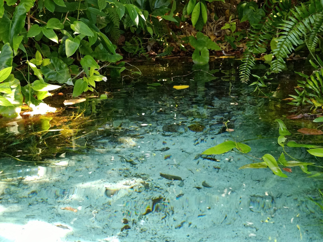 Cerrado Dourado Expedições-Jalapao State Park必去景点