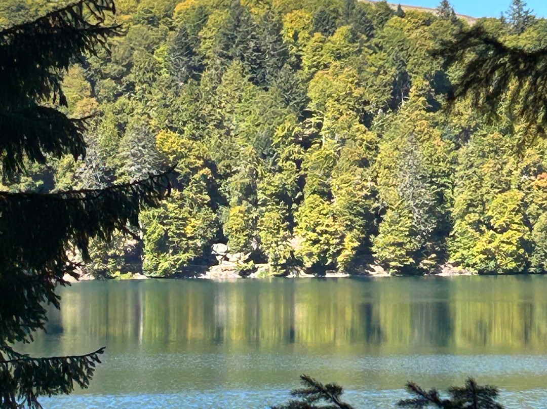Lac Pavin-Besse-et-Saint-Anastaise必去景点