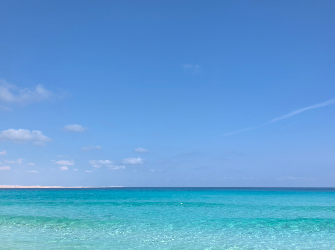 Makai Hotel North Coast By Brassbell
