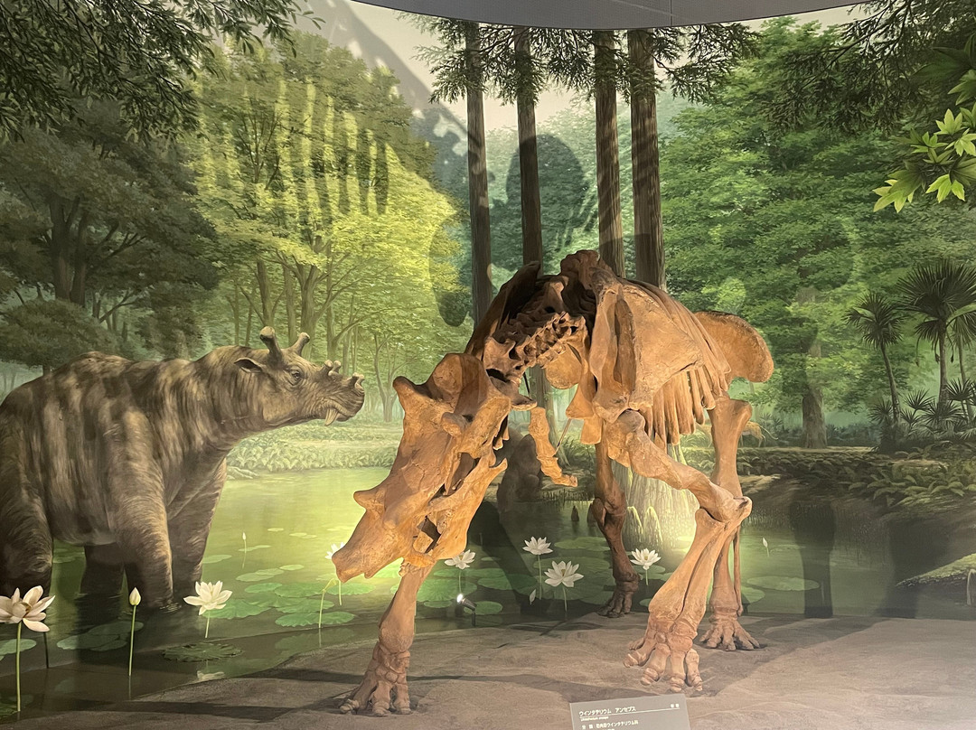 Fukui Prefectural Dinosaur Museum-胜山市必去景点