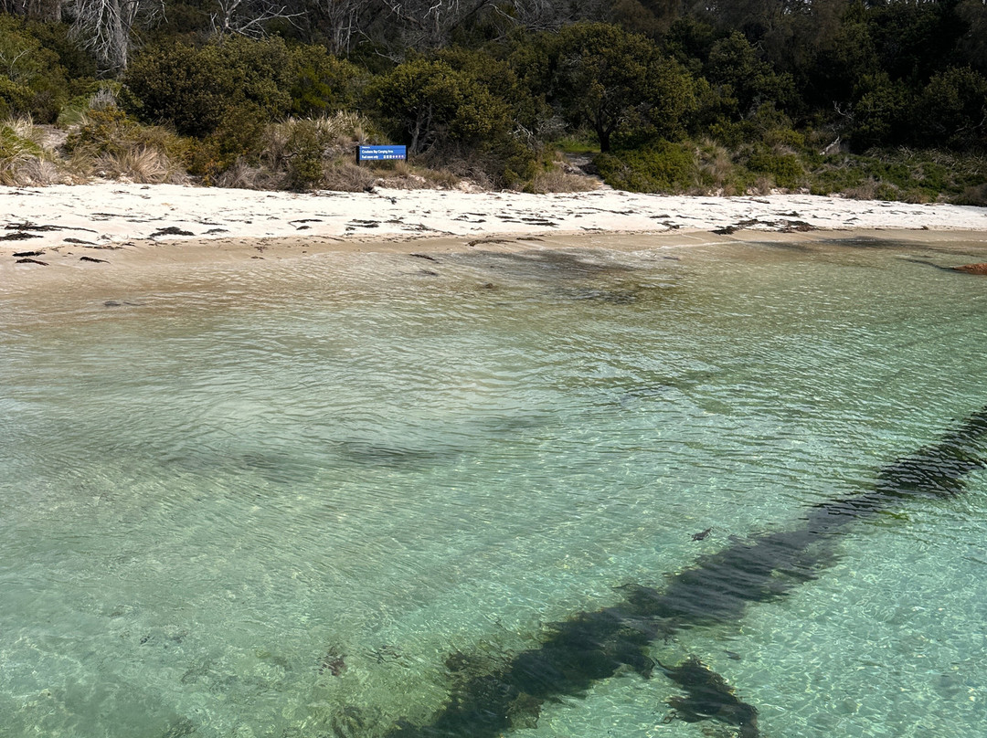 Freycinet Charters-科尔斯湾必去景点