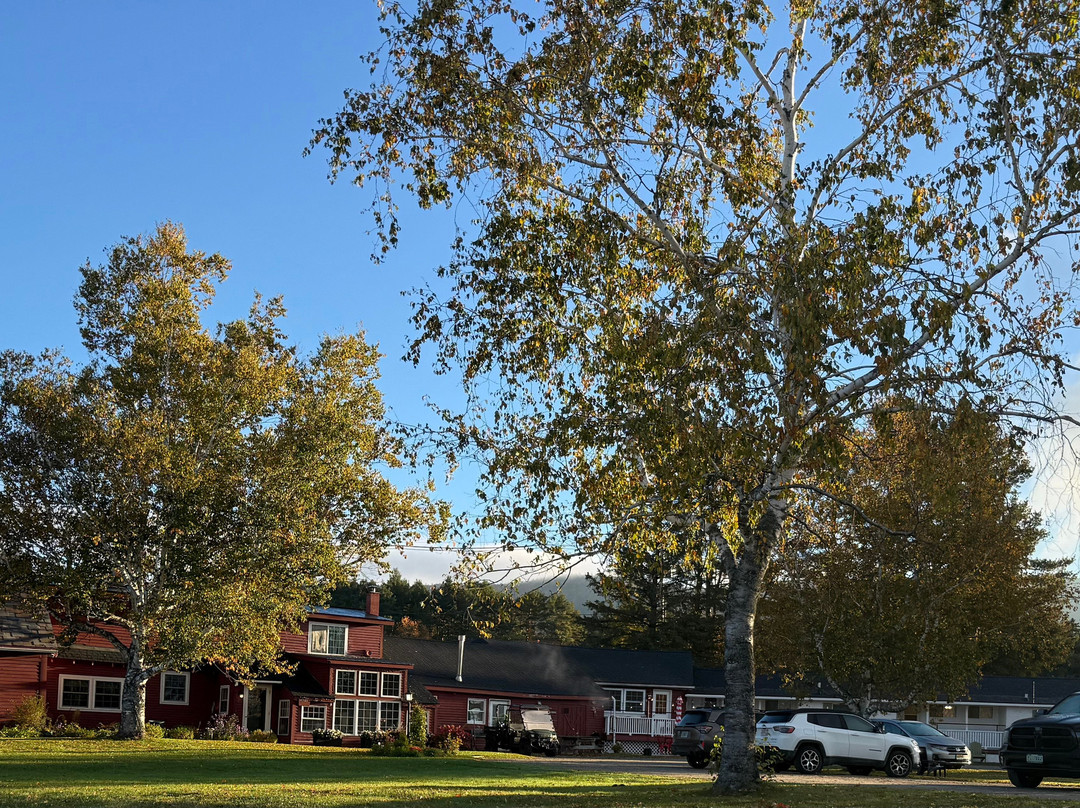 Coho Inn & Motor Lodge主图