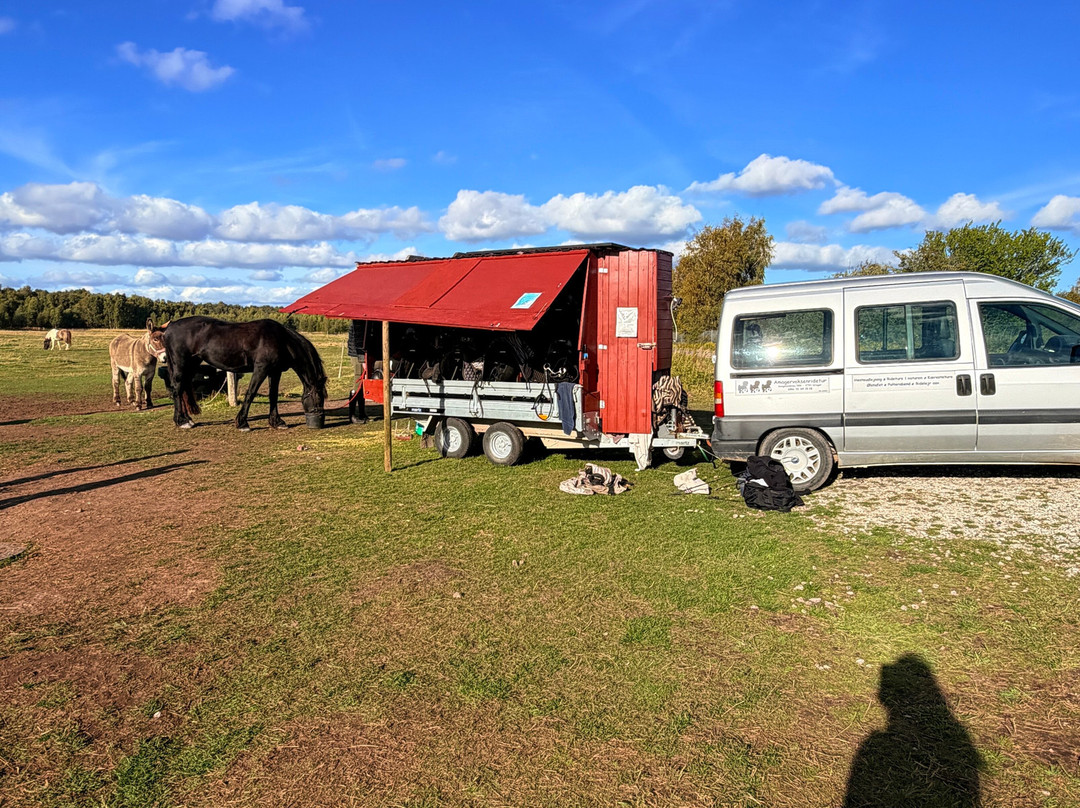 Amagervoksenridetur