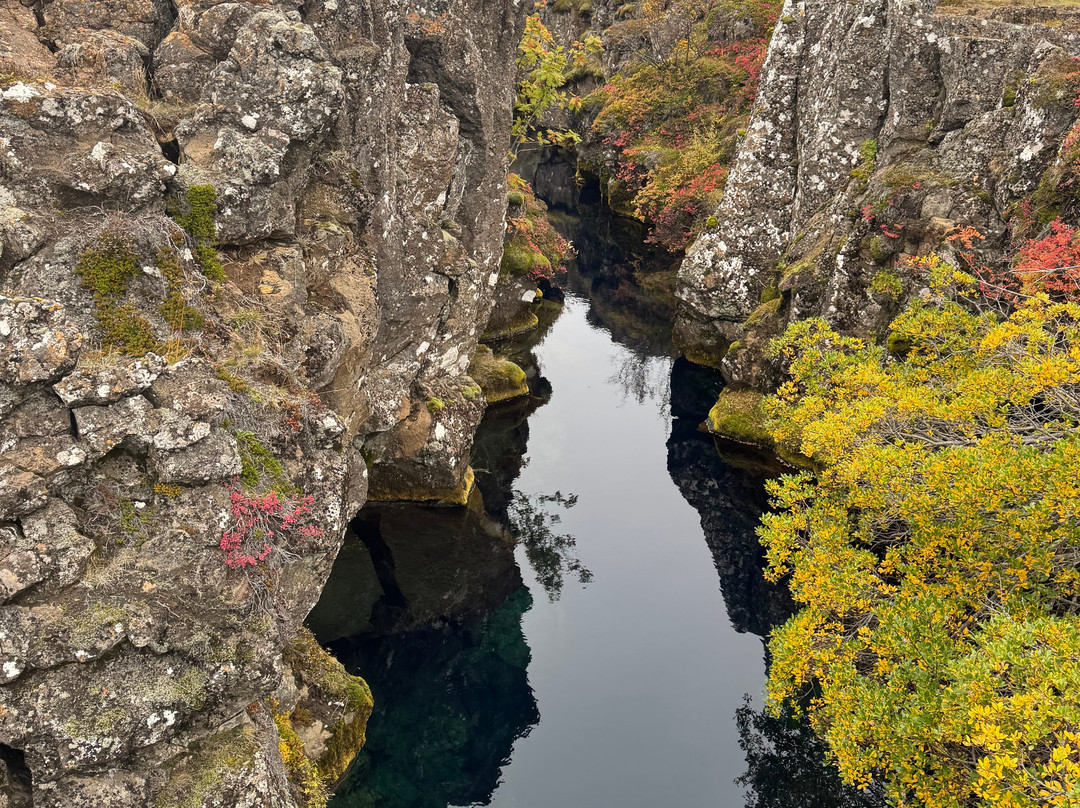 Guide Trek Alps - Viaggi nel Mondo-Saint-Vincent必去景点