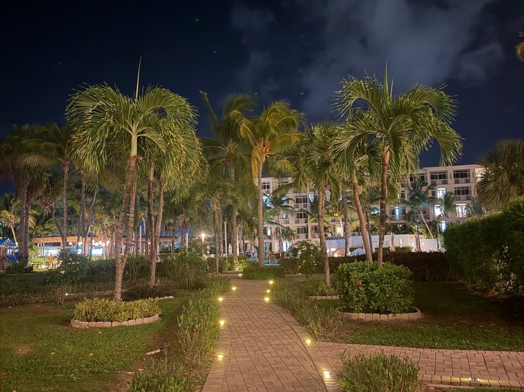 Alexandra Resort - All-inclusive主图