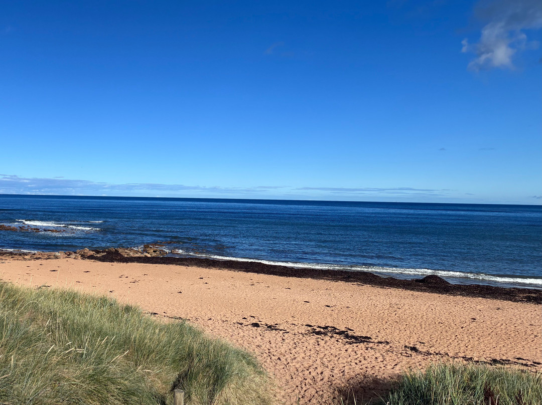 East Neuk Seaweed-St Monans必去景点