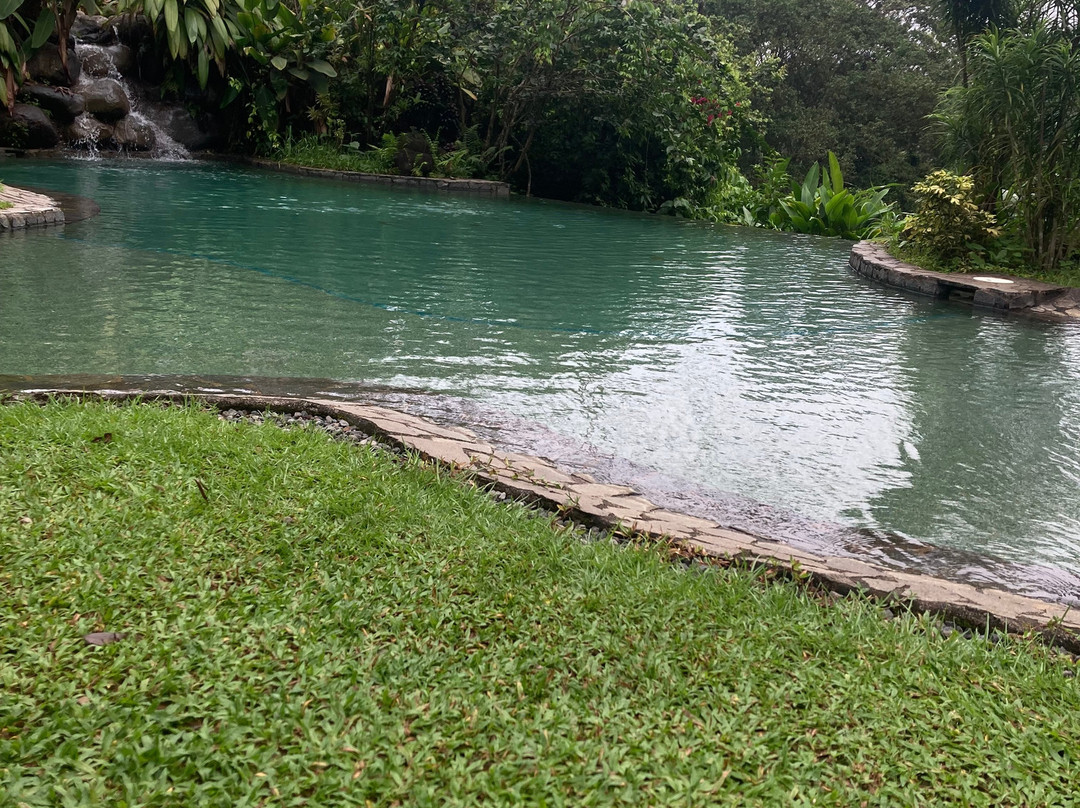 阿兰瓦萨拉皮基雨林旅馆主图