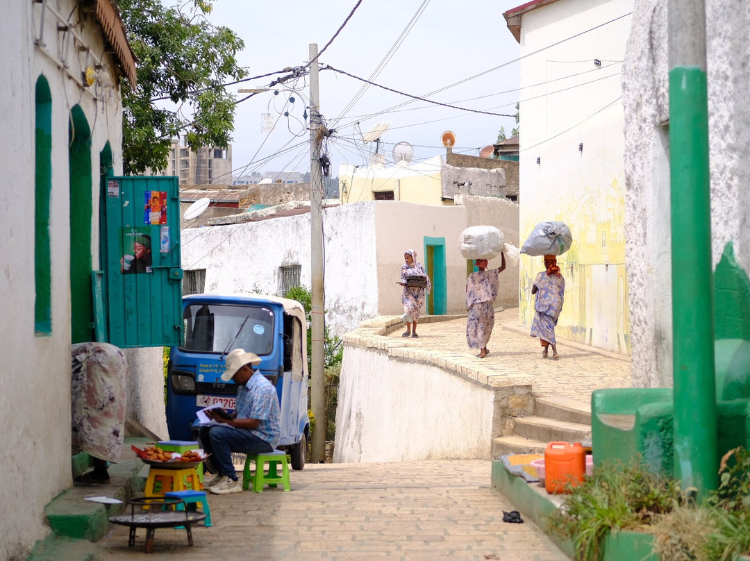 Edom Harar Tours & Car Rentals-哈勒尔必去景点