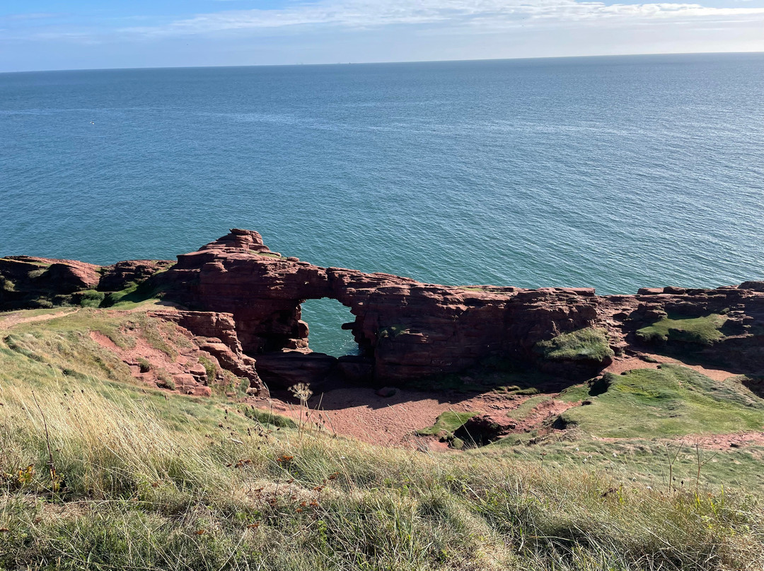 Arbroath Cliffs