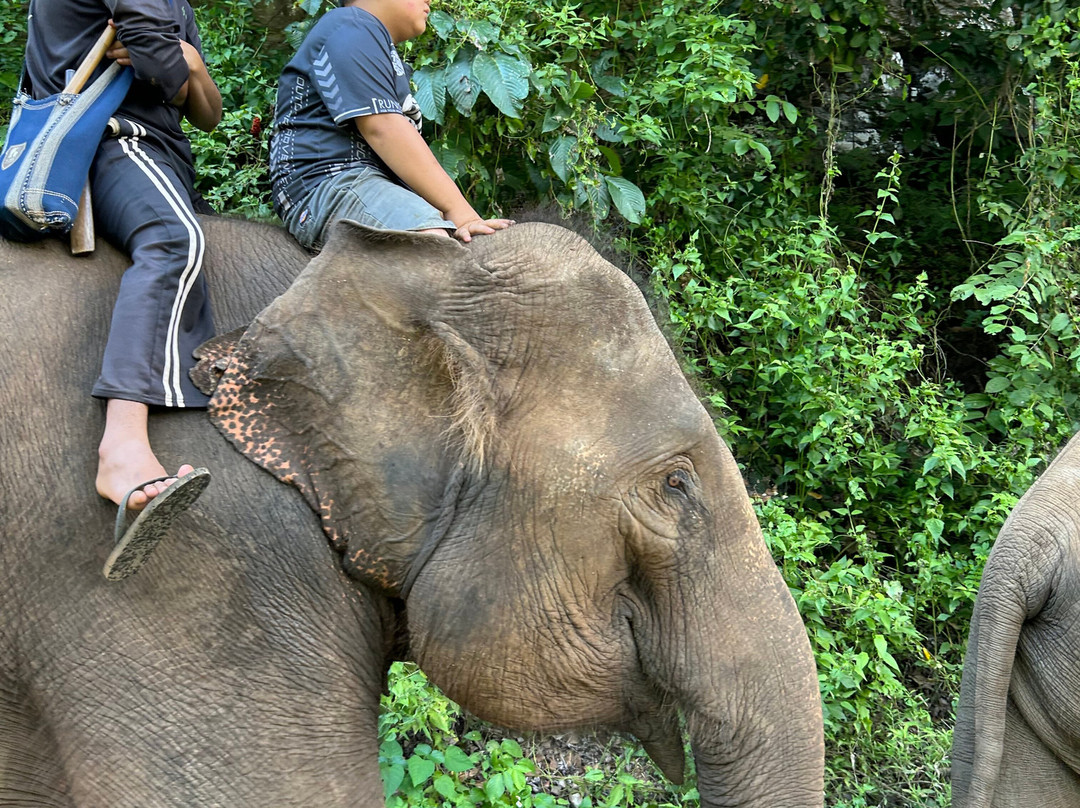 Thai Bike Tours-Nam Phrae必去景点