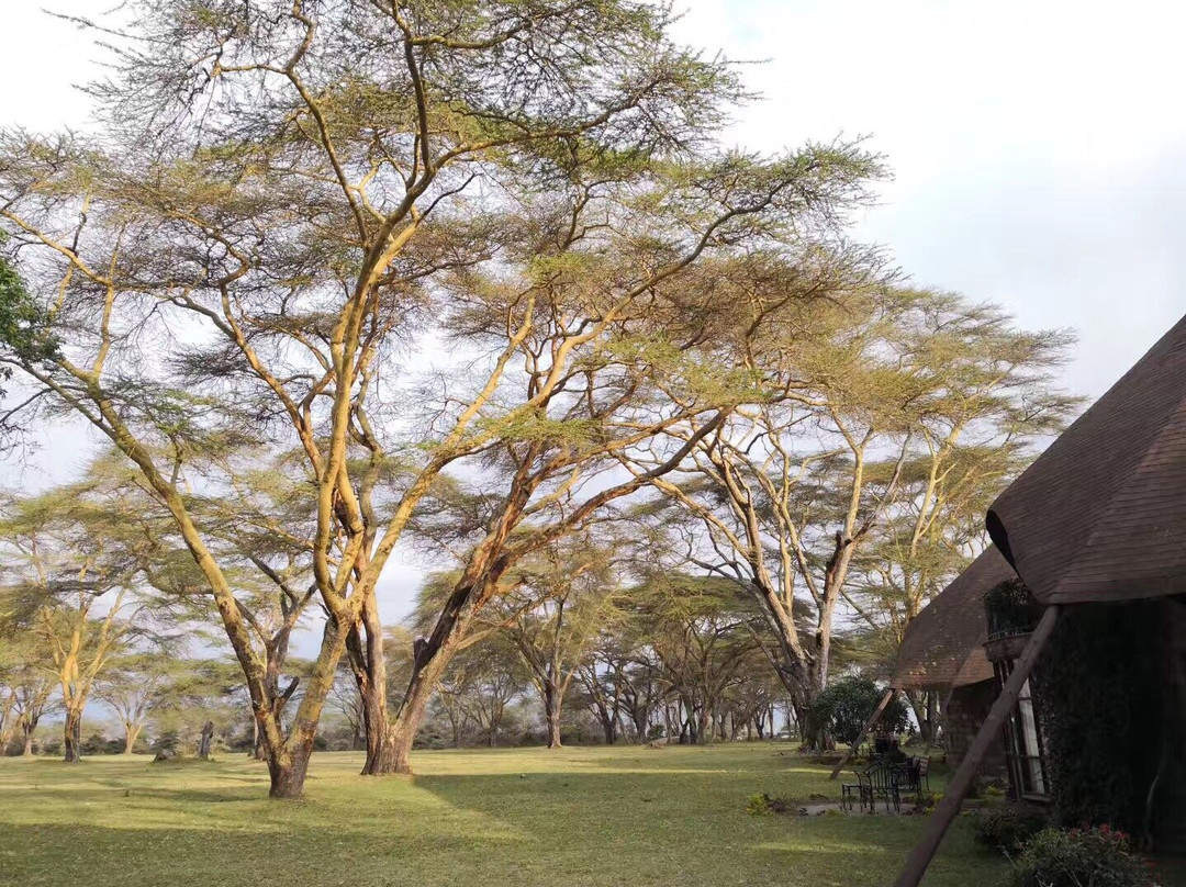 Lake Naivasha Villas