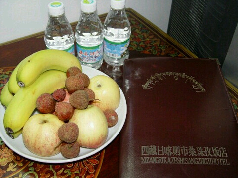 桑珠孜饭店主图