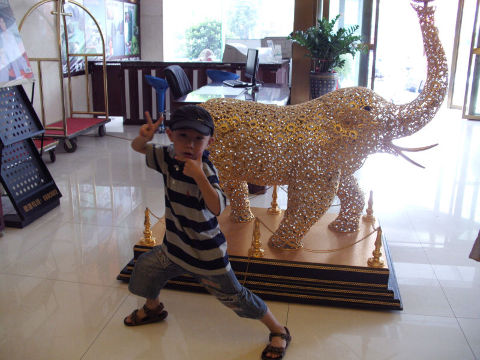 鹏景大酒店-客卧