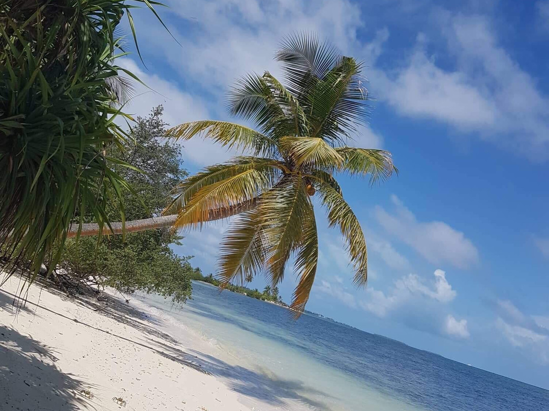 Dhidhdhoo酒店住宿-White Tern Maldives