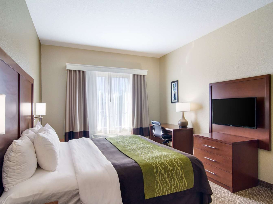 Comfort Inn Blackshear主图