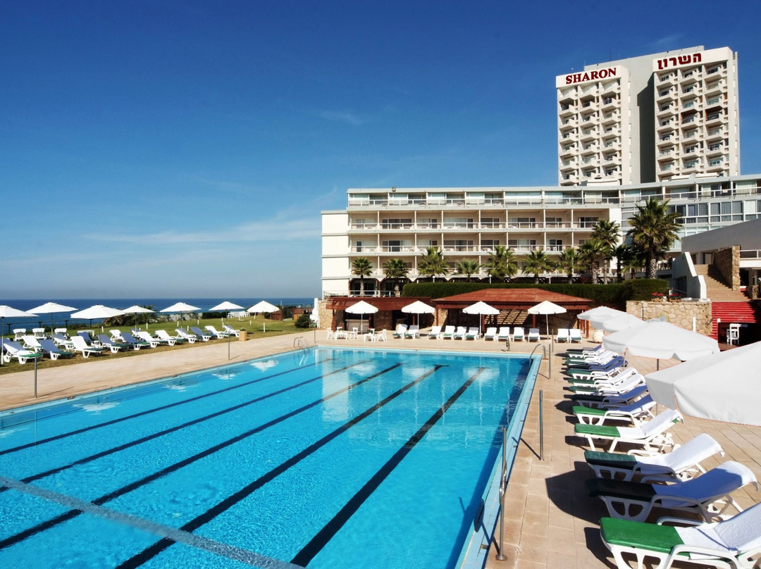 荷兹利亚酒店住宿-Sharon Hotel