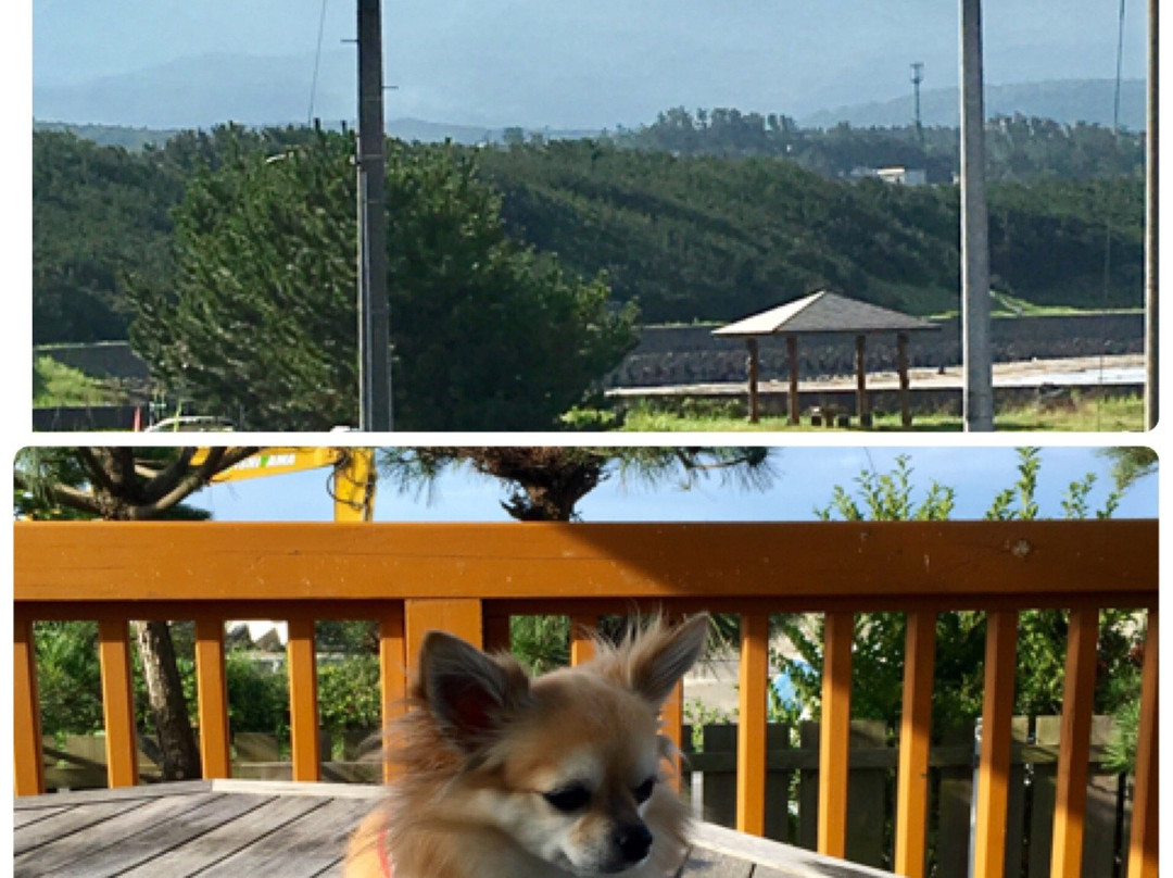 Hotel and Cottage Shiosai