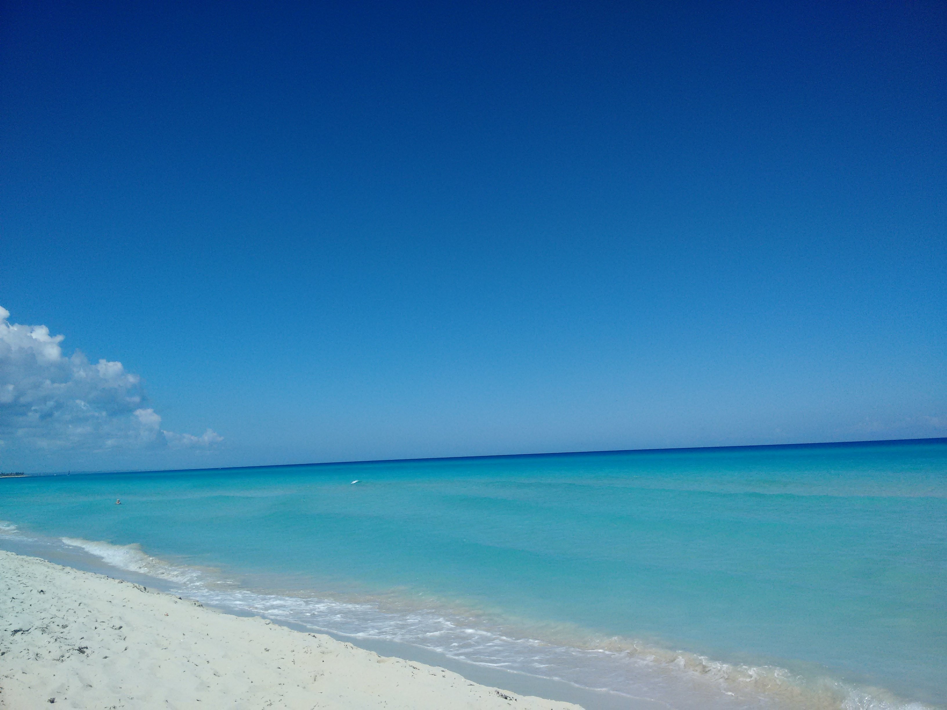 Hostal Mimi's Palace-官方