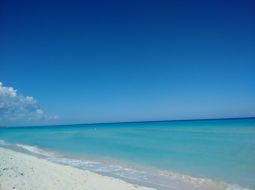 Santa Marta酒店住宿-Hostal Mimi's Palace