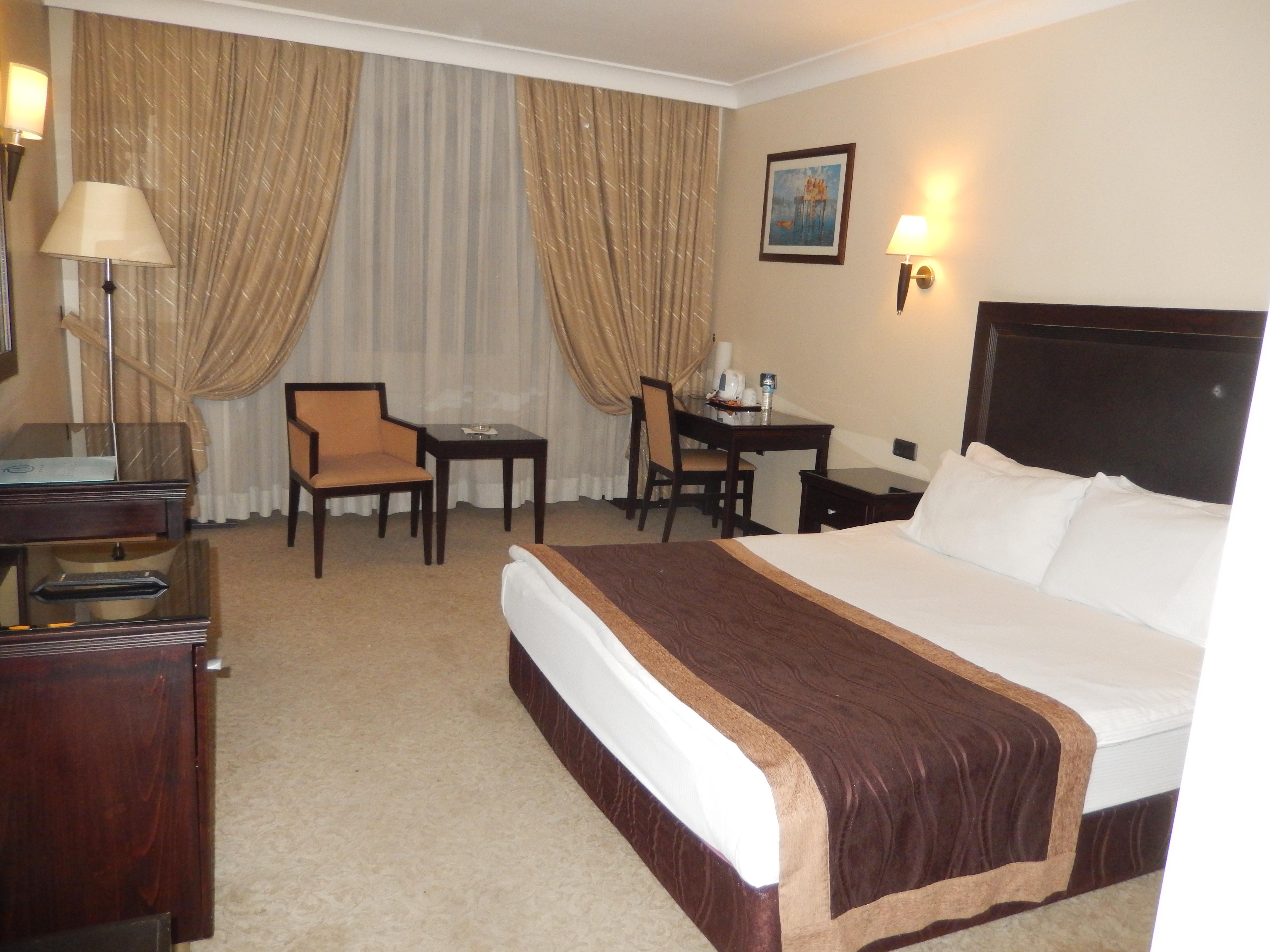 Sivas Buyuk Hotel-客卧