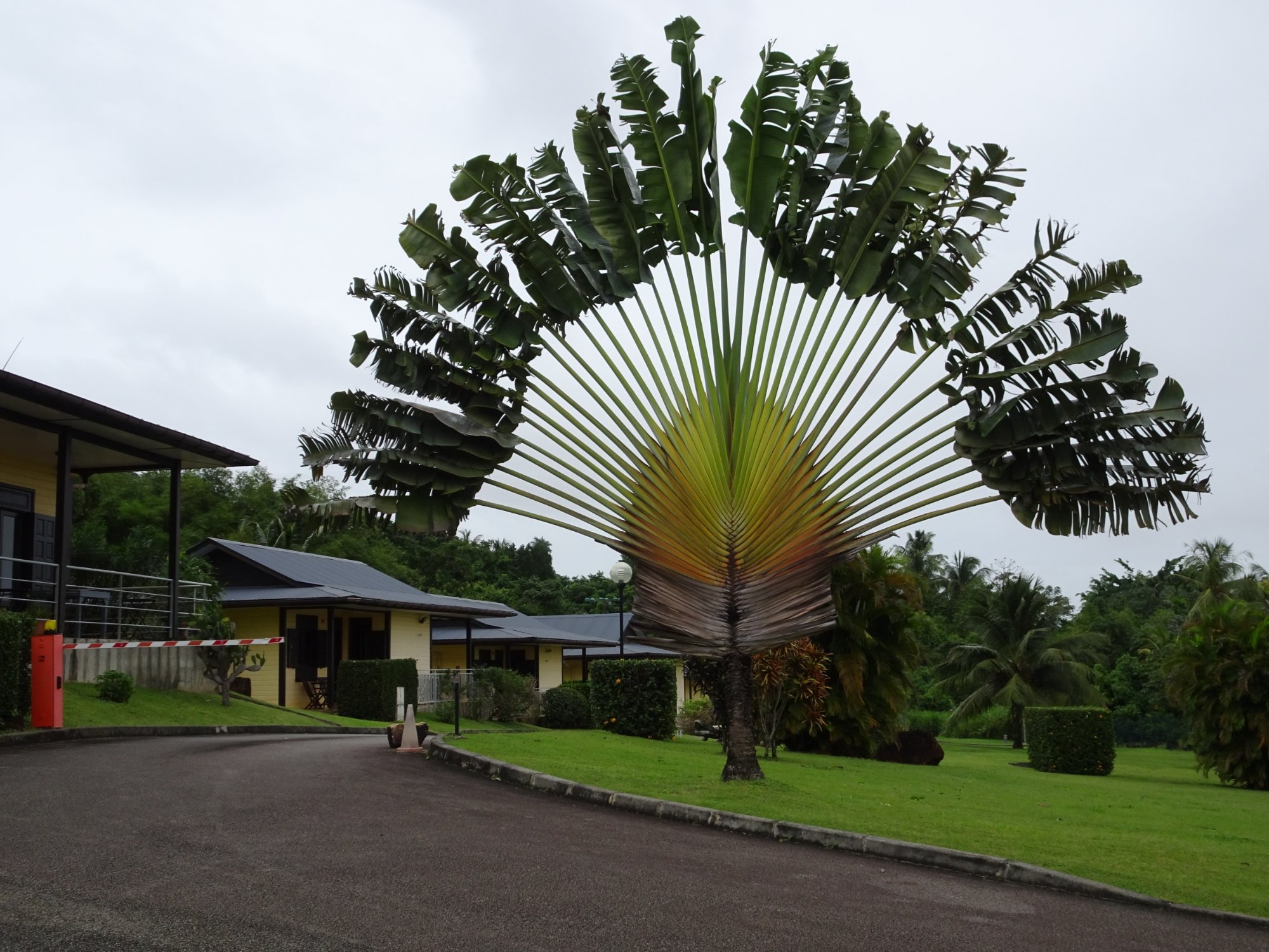 Lodges Balourou-官方