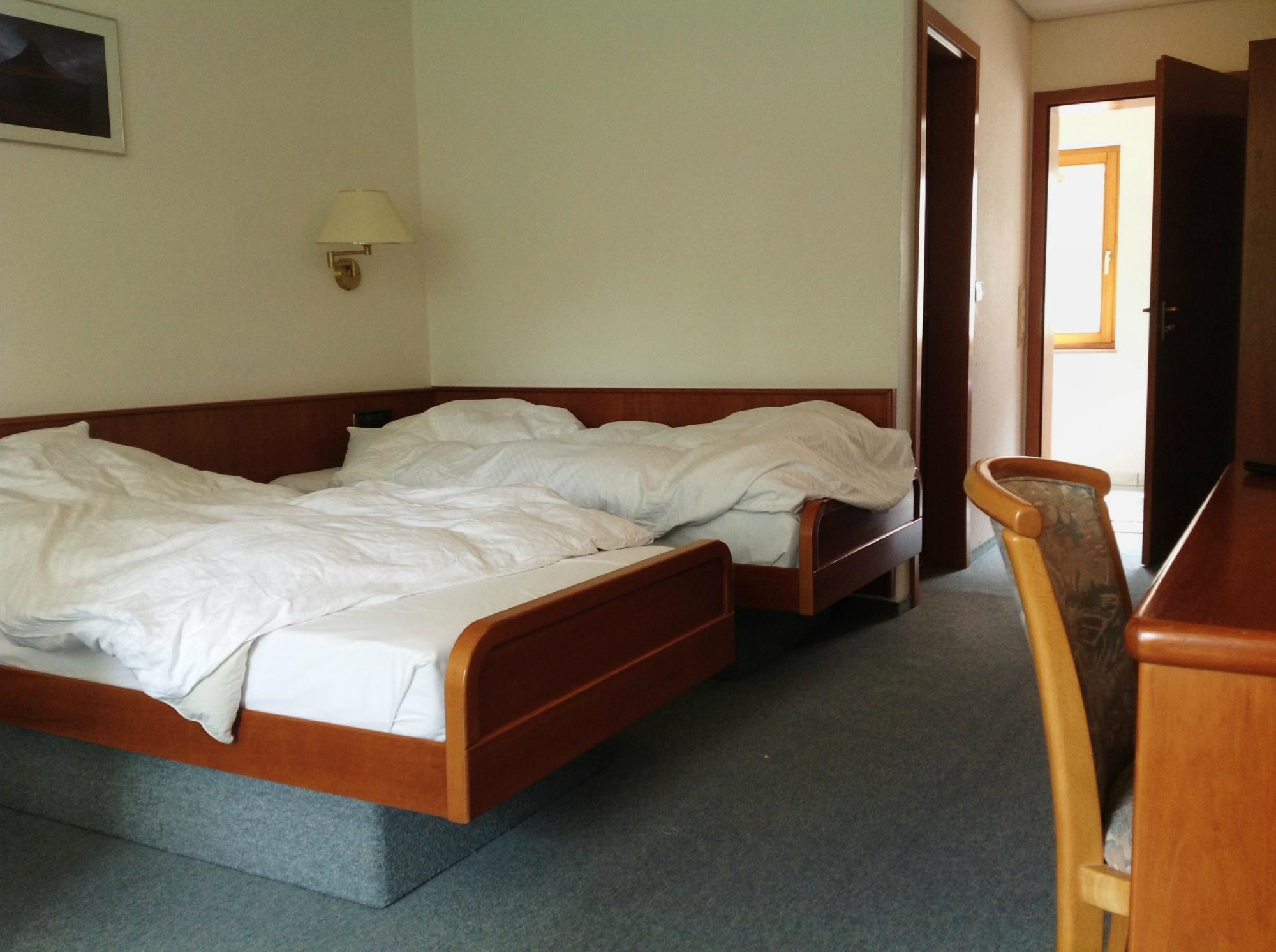 Gasthof Landhotel Hirsch-客卧